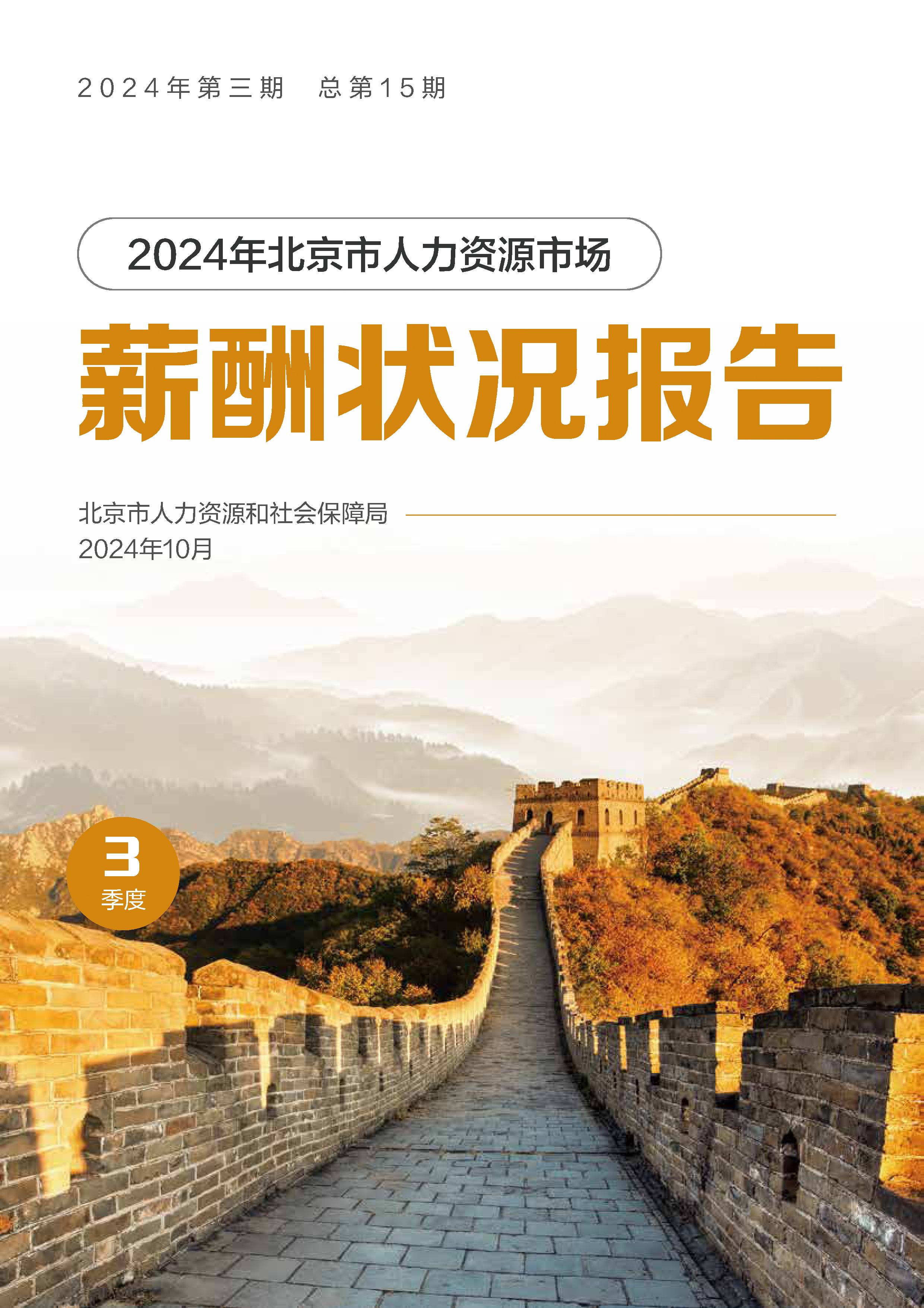 北京市人社局2024年北京市人力资源市场薪酬状况报告三季度24页
